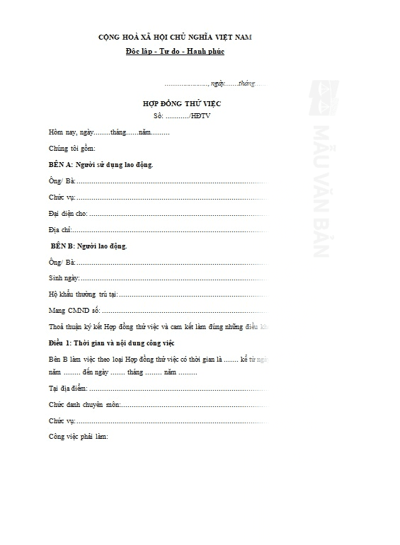 Mẫu hợp đồng thử việc không đóng BHXH
