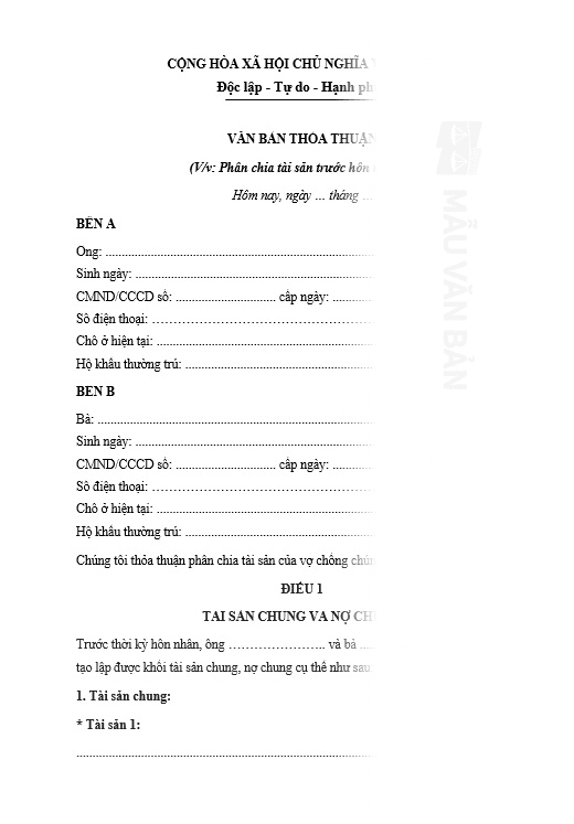 Hợp đồng thoả thuận hôn nhân