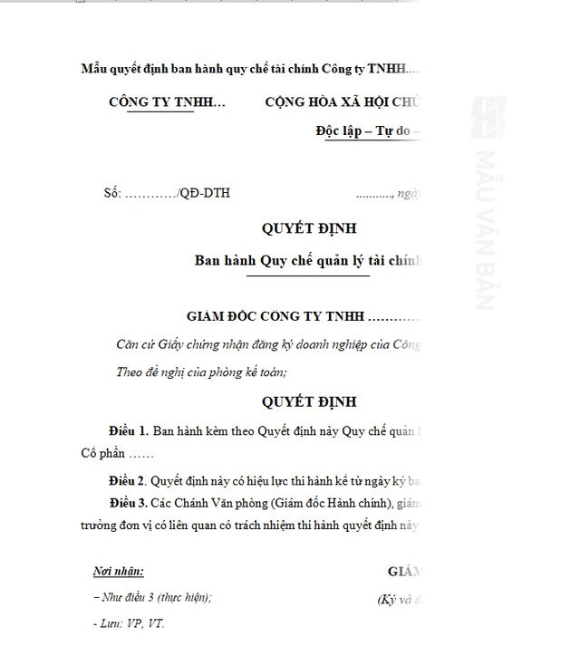 Mẫu quy chế tài chính nội bộ 