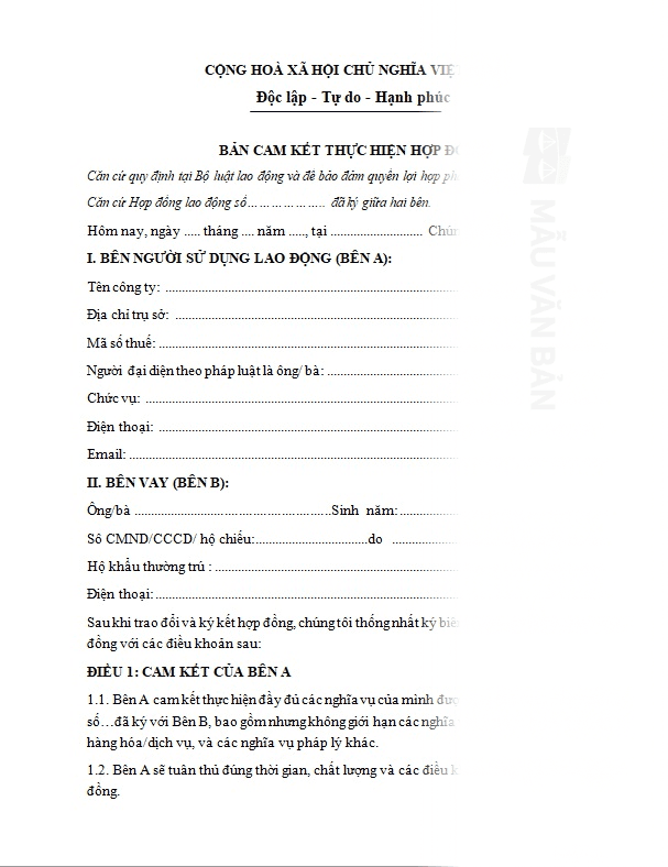 Bản cam kết thực hiện hợp đồng